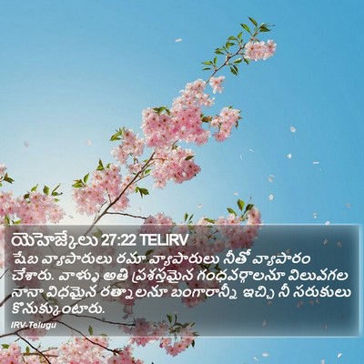 యెహెజ్కేలు 27:22 TELIRV Bible Verse Image