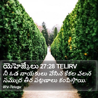 యెహెజ్కేలు 27:28 TELIRV Bible Verse Image