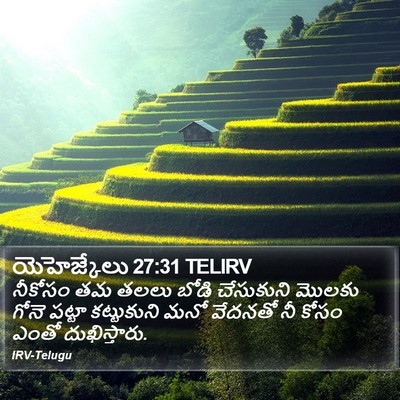 యెహెజ్కేలు 27:31 TELIRV Bible Verse Image