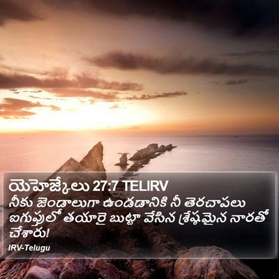 యెహెజ్కేలు 27:7 TELIRV Bible Verse Image