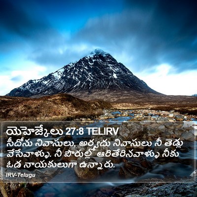 యెహెజ్కేలు 27:8 TELIRV Bible Verse Image