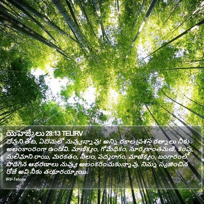 యెహెజ్కేలు 28:13 TELIRV Bible Verse Image