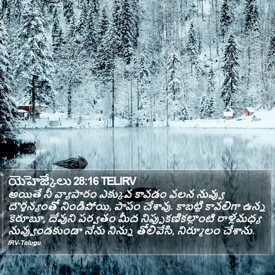 యెహెజ్కేలు 28:16 TELIRV Bible Verse Image