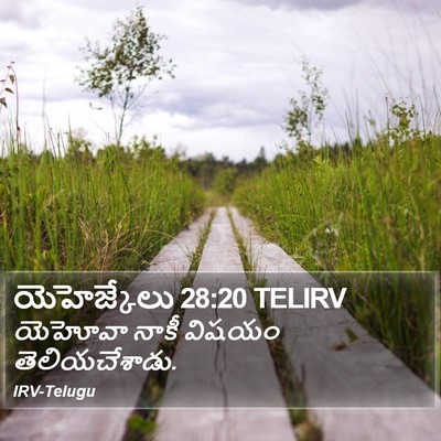 యెహెజ్కేలు 28:20 TELIRV Bible Verse Image