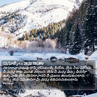 యెహెజ్కేలు 28:22 TELIRV Bible Verse Image