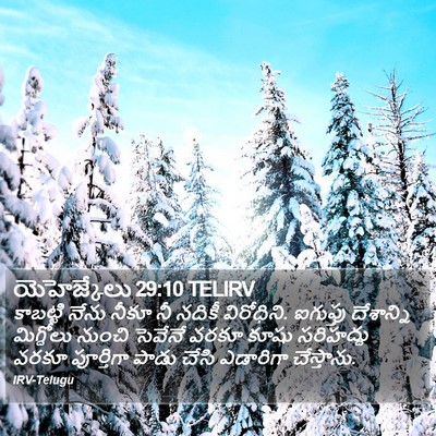 యెహెజ్కేలు 29:10 TELIRV Bible Verse Image