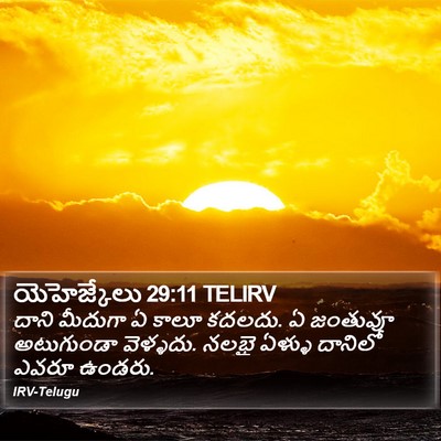 యెహెజ్కేలు 29:11 TELIRV Bible Verse Image