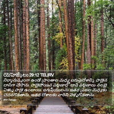 యెహెజ్కేలు 29:12 TELIRV Bible Verse Image