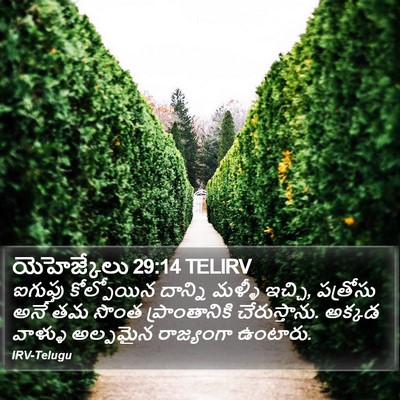 యెహెజ్కేలు 29:14 TELIRV Bible Verse Image