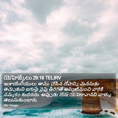 యెహెజ్కేలు 29:16 TELIRV Bible Verse Image