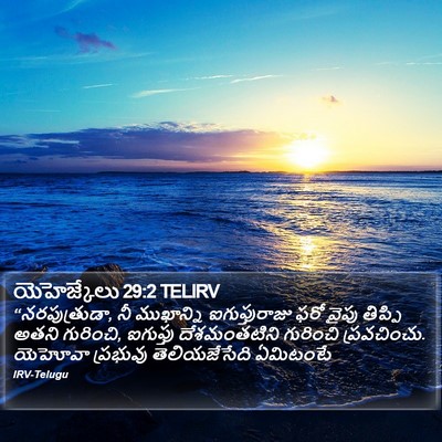 యెహెజ్కేలు 29:2 TELIRV Bible Verse Image