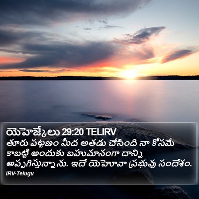 యెహెజ్కేలు 29:20 TELIRV Bible Verse Image