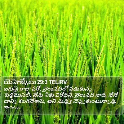 యెహెజ్కేలు 29:3 TELIRV Bible Verse Image