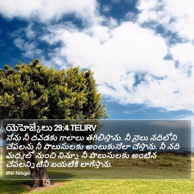 యెహెజ్కేలు 29:4 TELIRV Bible Verse Image