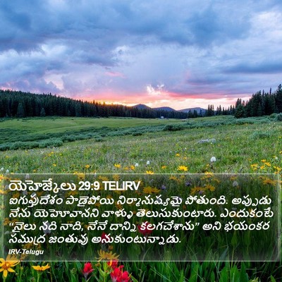 యెహెజ్కేలు 29:9 TELIRV Bible Verse Image