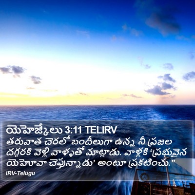 యెహెజ్కేలు 3:11 TELIRV Bible Verse Image