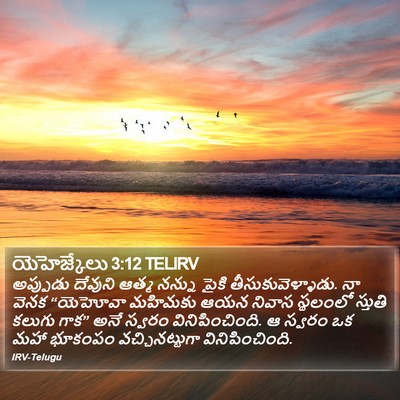 యెహెజ్కేలు 3:12 TELIRV Bible Verse Image