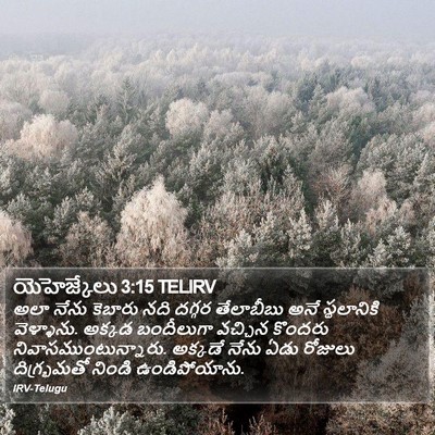 యెహెజ్కేలు 3:15 TELIRV Bible Verse Image