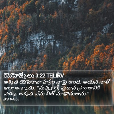 యెహెజ్కేలు 3:22 TELIRV Bible Verse Image