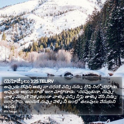 యెహెజ్కేలు 3:25 TELIRV Bible Verse Image