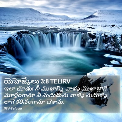 యెహెజ్కేలు 3:8 TELIRV Bible Verse Image