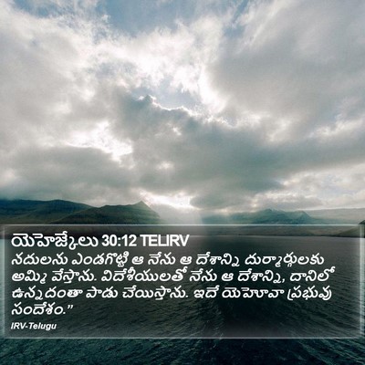 యెహెజ్కేలు 30:12 TELIRV Bible Verse Image