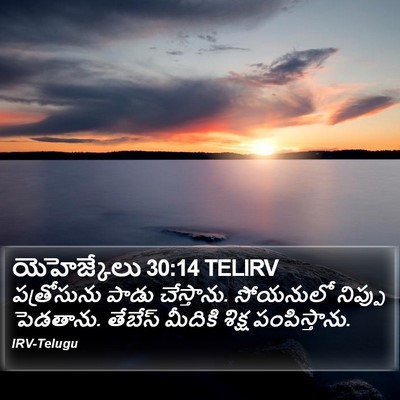యెహెజ్కేలు 30:14 TELIRV Bible Verse Image