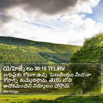 యెహెజ్కేలు 30:15 TELIRV Bible Verse Image