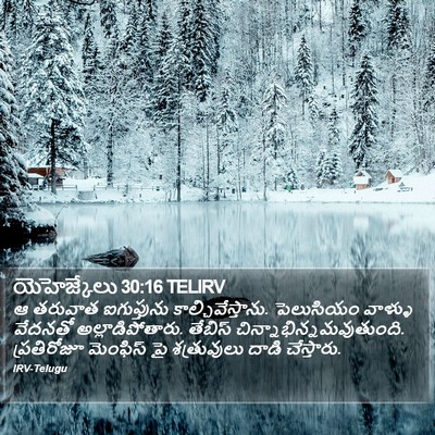 యెహెజ్కేలు 30:16 TELIRV Bible Verse Image