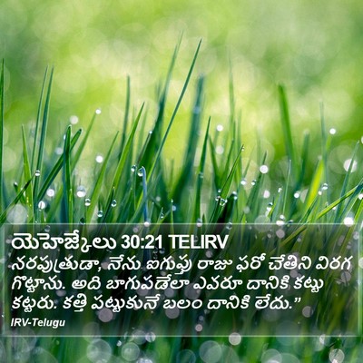 యెహెజ్కేలు 30:21 TELIRV Bible Verse Image