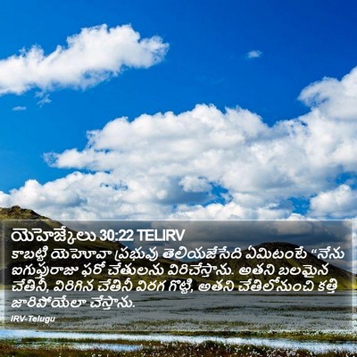 యెహెజ్కేలు 30:22 TELIRV Bible Verse Image