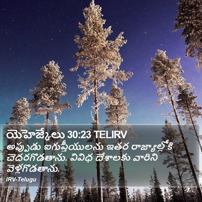 యెహెజ్కేలు 30:23 TELIRV Bible Verse Image