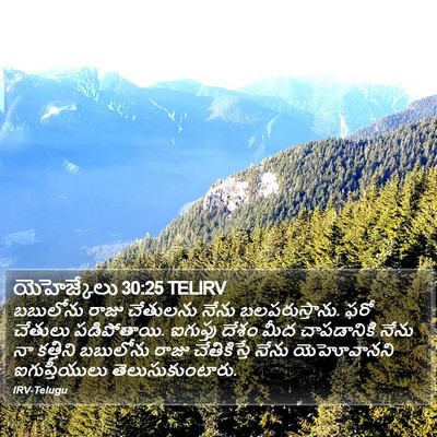 యెహెజ్కేలు 30:25 TELIRV Bible Verse Image
