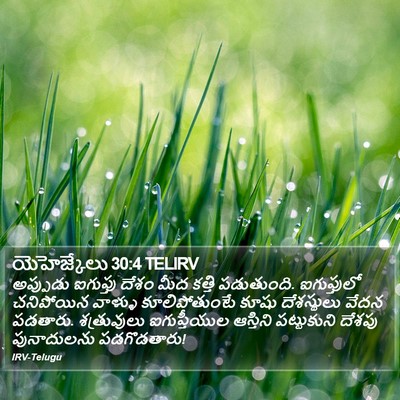 యెహెజ్కేలు 30:4 TELIRV Bible Verse Image