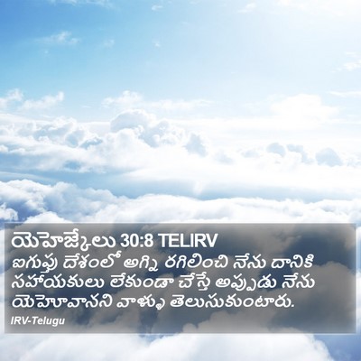 యెహెజ్కేలు 30:8 TELIRV Bible Verse Image
