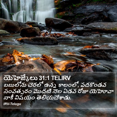 యెహెజ్కేలు 31:1 TELIRV Bible Verse Image