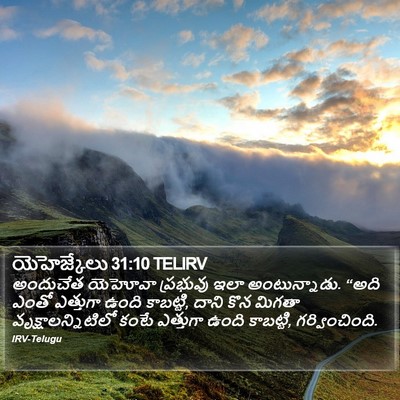యెహెజ్కేలు 31:10 TELIRV Bible Verse Image