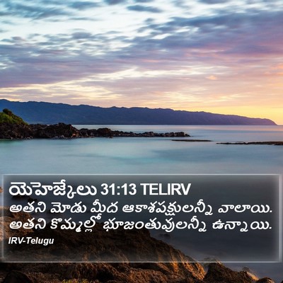 యెహెజ్కేలు 31:13 TELIRV Bible Verse Image