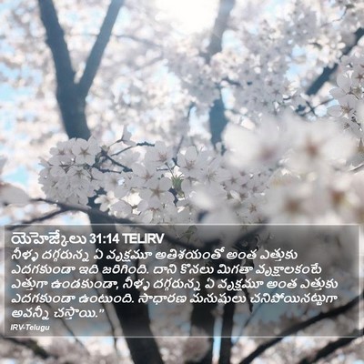 యెహెజ్కేలు 31:14 TELIRV Bible Verse Image