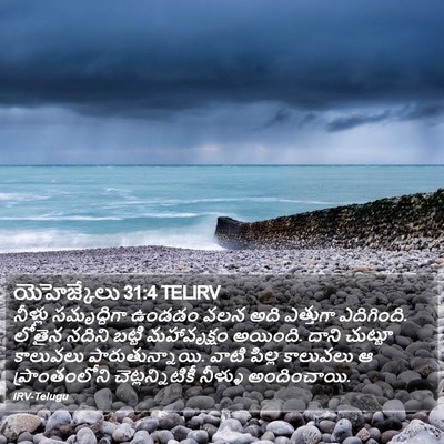 యెహెజ్కేలు 31:4 TELIRV Bible Verse Image