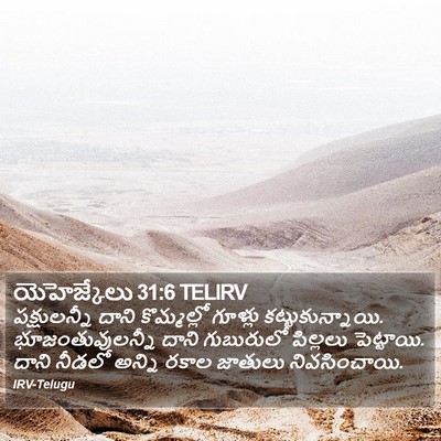 యెహెజ్కేలు 31:6 TELIRV Bible Verse Image