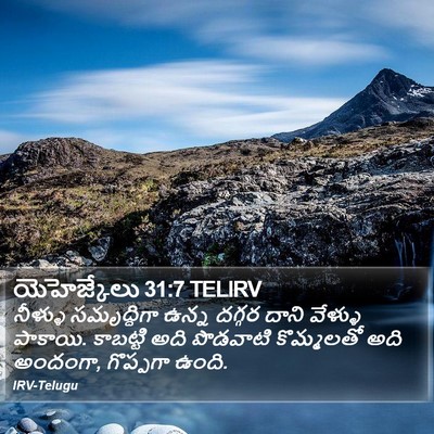 యెహెజ్కేలు 31:7 TELIRV Bible Verse Image