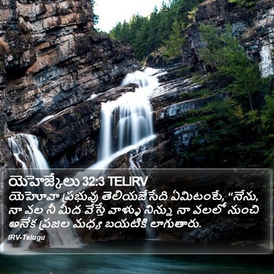 యెహెజ్కేలు 32:3 TELIRV Bible Verse Image