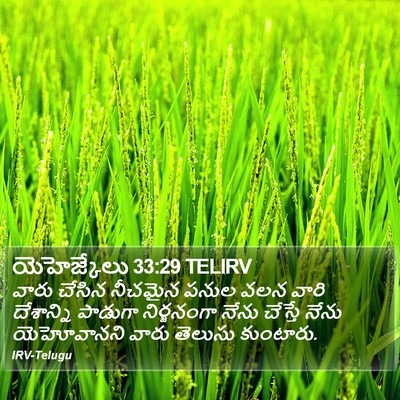యెహెజ్కేలు 33:29 TELIRV Bible Verse Image