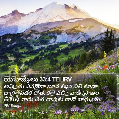 యెహెజ్కేలు 33:4 TELIRV Bible Verse Image