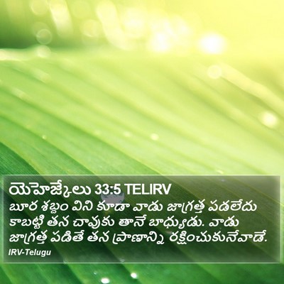 యెహెజ్కేలు 33:5 TELIRV Bible Verse Image