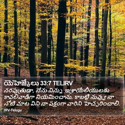 యెహెజ్కేలు 33:7 TELIRV Bible Verse Image