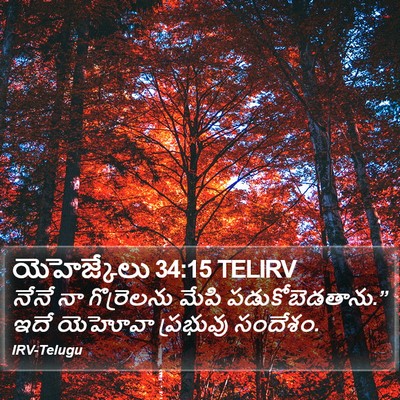 యెహెజ్కేలు 34:15 TELIRV Bible Verse Image