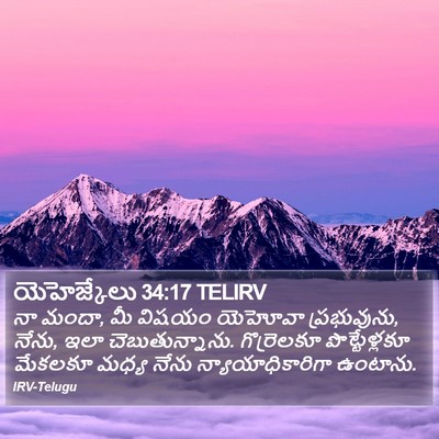 యెహెజ్కేలు 34:17 TELIRV Bible Verse Image