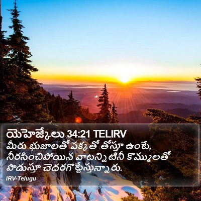 యెహెజ్కేలు 34:21 TELIRV Bible Verse Image